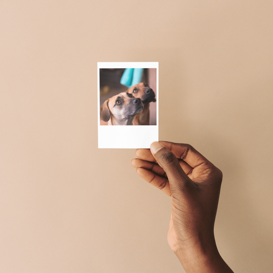 Personalized Polaroid Photo Magnets - Set 9