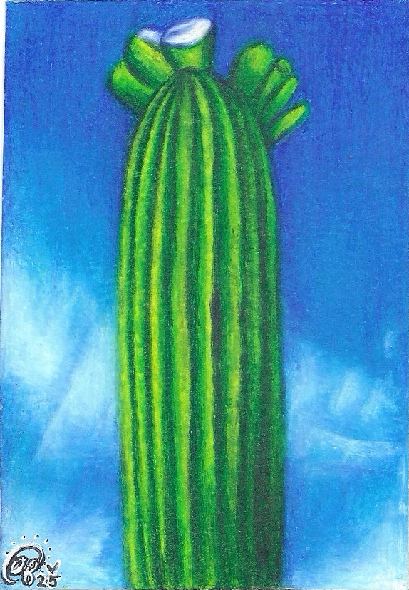 Colorful drawing of a cactus on a blue background