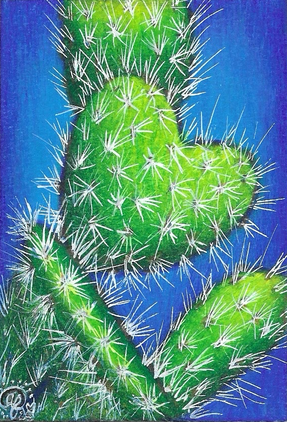 Close-up of a green cactus with white spines against a blue background